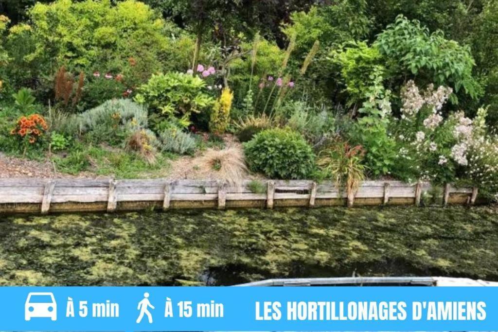 Grand T2 Gare Amiens Tout Confort 2Pers Wifi Exteriör bild