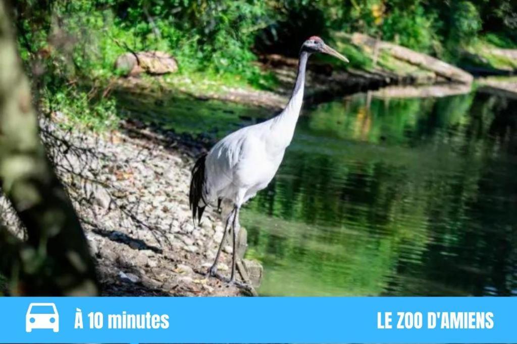 Grand T2 Gare Amiens Tout Confort 2Pers Wifi Exteriör bild